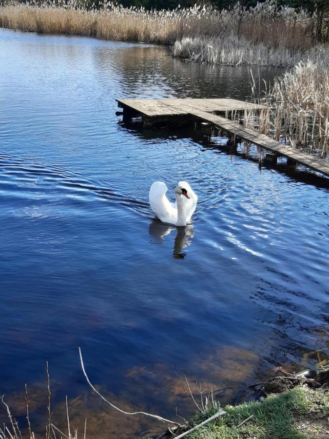 Villa Domek Caloroczny Magjan Z Sauna à Złotów Extérieur photo